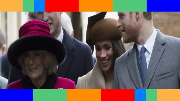 👑  Les princes Harry et William et leur “attitude glaciale” envers Camilla : les dessous d’une rela