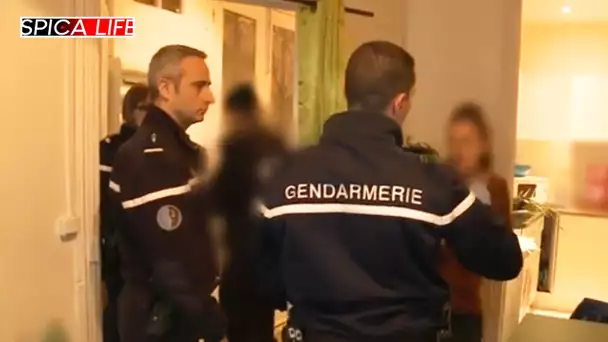 Vols en réunion : nos campagnes sous tension