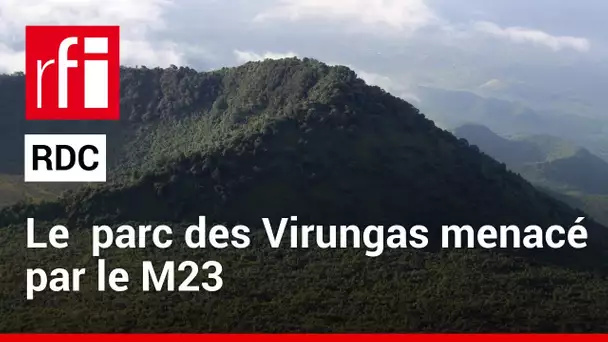 RDC : le parc des Virungas menacé par le M23 (et les groupes armés) • RFI