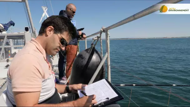 Mieux mesurer la pollution plastique en Méditerranée