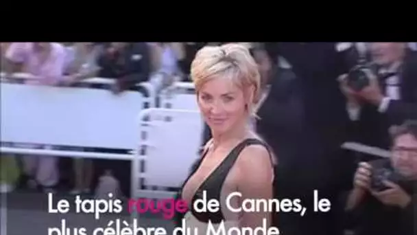 FESTIVAL DE CANNES 2017 - Cannes, un festival devenu grand