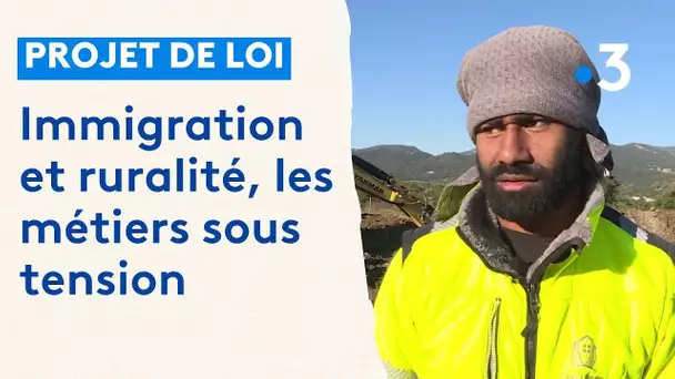 Projet de loi immigration : dans les Alpes de Haute Provence, certains métiers sous tension