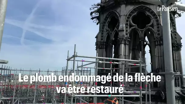 Le chantier unique au monde de Notre Dame de Paris
