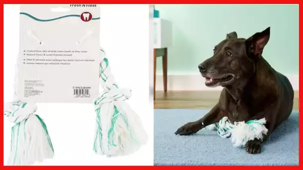 Booda Fresh N Floss 3 Knot Tug Rope Dog Toy, Large, Spearmint
