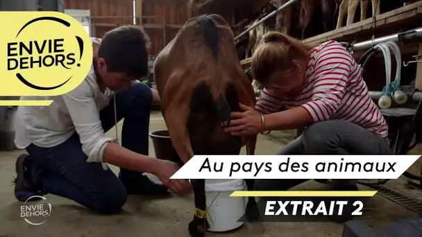 Envie dehors : au pays des animaux extrait 2