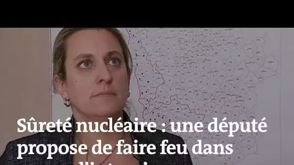 Tirer « sans se poser de question » aux abords des centrales ? Les propos polémiques d’une députée