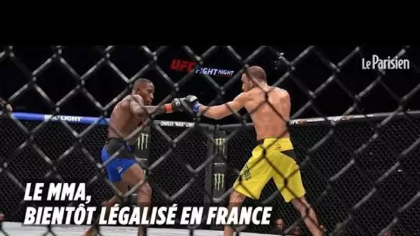 Le MMA, bientôt légalisé en France