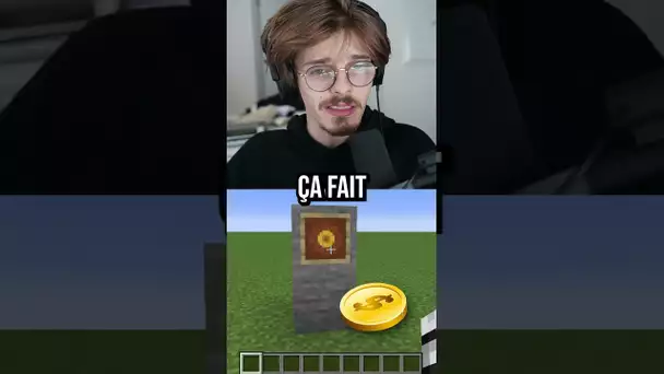 Les choses que vous ne pouvez pas dé-voir de Minecraft...