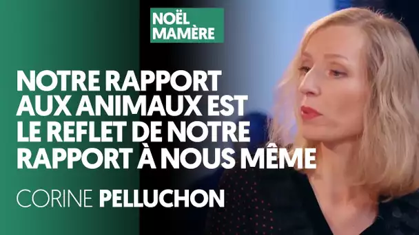 NOTRE RAPPORT AUX ANIMAUX EST LE REFLET DE NOTRE RAPPORT À NOUS MÊME - CORINE PELLUCHON