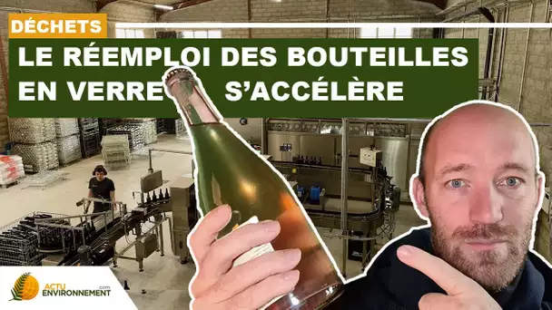 Comment développer le réemploi des bouteilles en verre