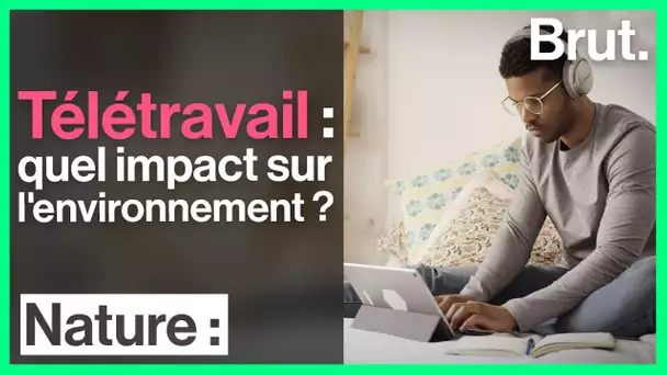 Télétravail : quel impact sur l'environnement ?