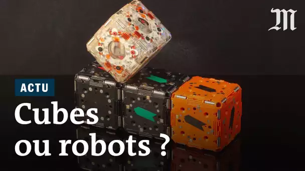 Pourquoi ces robots-cubes passionnent le MIT