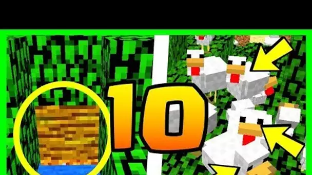 10 SECRETS SUR LA JUNGLE MINECRAFT