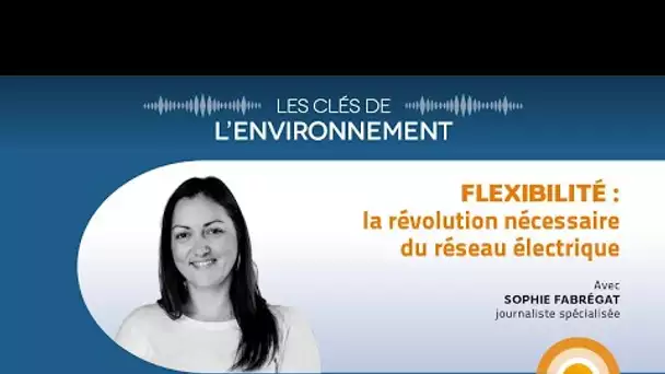 Flexibilité : la révolution nécessaire du réseau électrique - Les Clés de l'Environnement