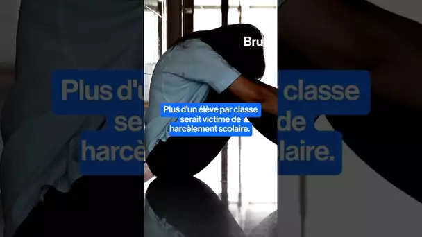 Plus d'un élève par classe serait victime de harcèlement scolaire