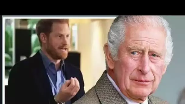 Charles n'a pas vu Harry au Royaume-Uni parce qu'il se méfiait du "drame" - expert