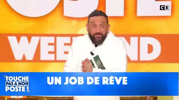 Quel était le job de rêve des chroniqueurs ?