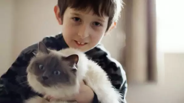 Vous allez pleurer : un chat sauve un enfant