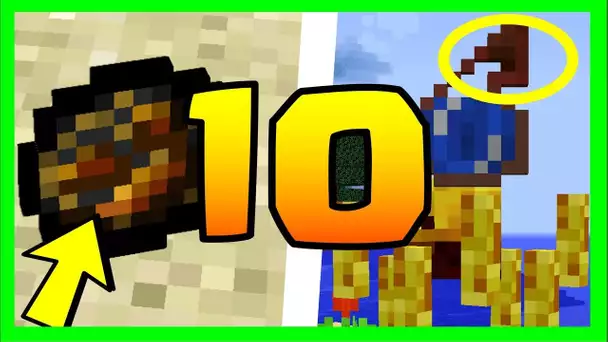 LE SAVIEZ VOUS ? 10 NOUVEAUX SECRETS SUR LES BLAZES MINECRAFT