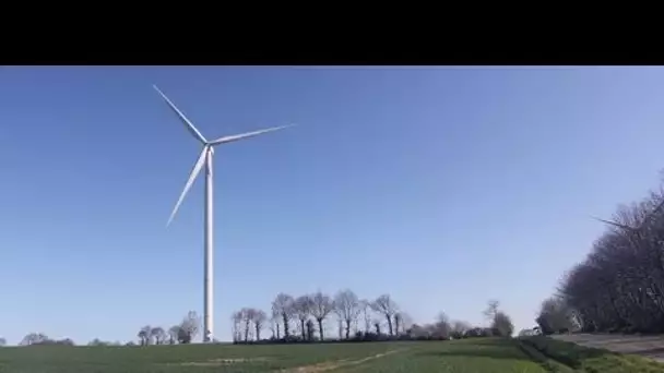 Morbihan : Déclaré illégal, le parc éolien de Guern devra être démantelé
