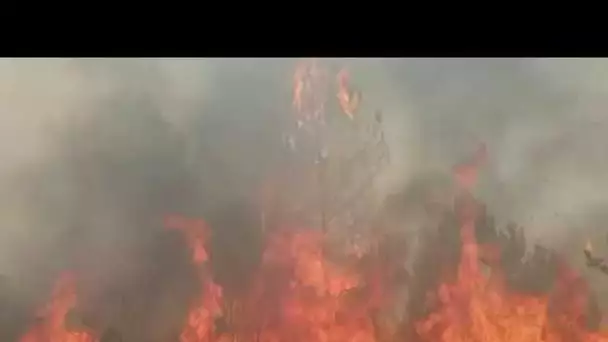 Violent incendie de forêt à Issac (24)