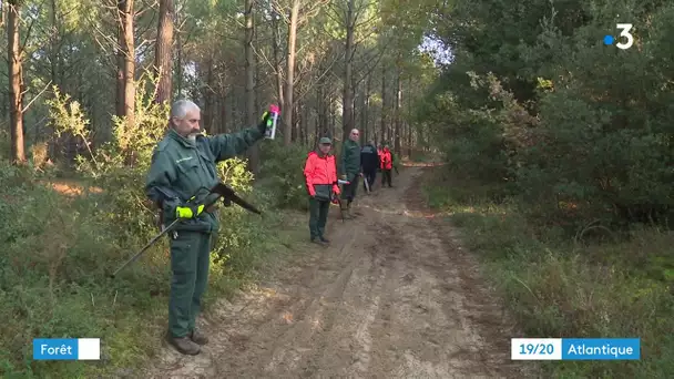 La Tremblade :: L'ONF protège la forêt de la Coubre contre l'érosion