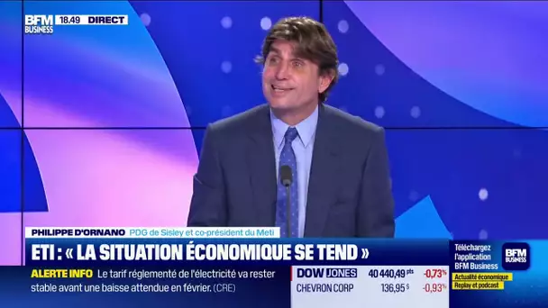 Philippe d'Ornano (Sisley) : "La situation économique se tend"