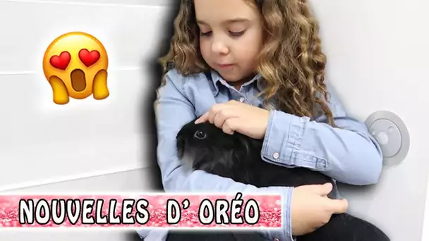 DES NOUVELLES D&#039;ORÉO 🐰  / Family vlog