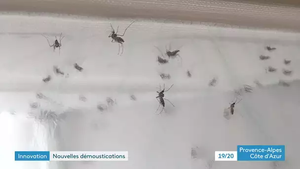 Le CHU de Nice teste un dispositif de protection contre les moustiques
