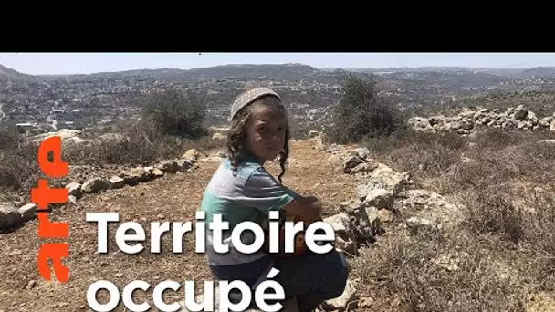 Israël : les routes de l’annexion | ARTE Reportage