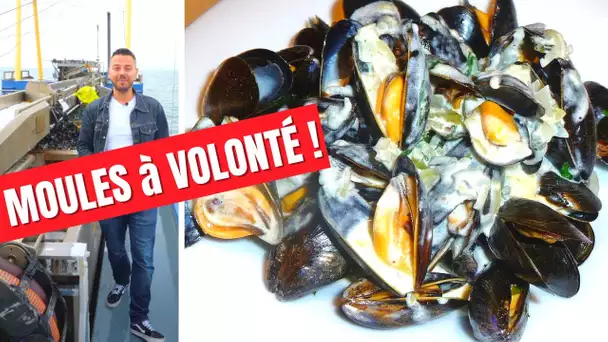 Je vais à la PÊCHE aux MOULES au Pays Bas + Moules à volonté!