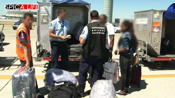 Aéroport Paris CDG, au cœur du banditisme