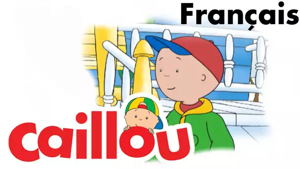 Caillou FRANÇAIS - Caillou fête la Saint-Valentin (S04E19) | conte pour enfant | Caillou en Français