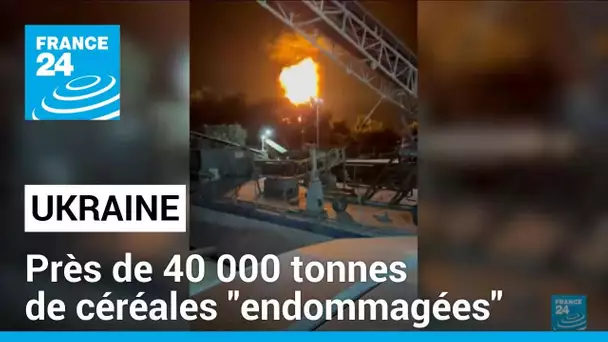 Près de 40 000 tonnes de céréales "endommagées" dans des frappes russes, selon Kiev