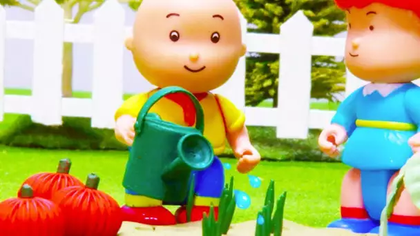 Caillou en Français | Caillou le Producteur de Légumes | dessin animé en entier | NOUVEAU 2019