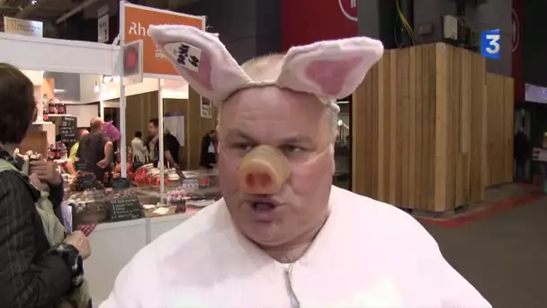 SIA 2013 : Noël Jamet, champion du monde du cri du cochon