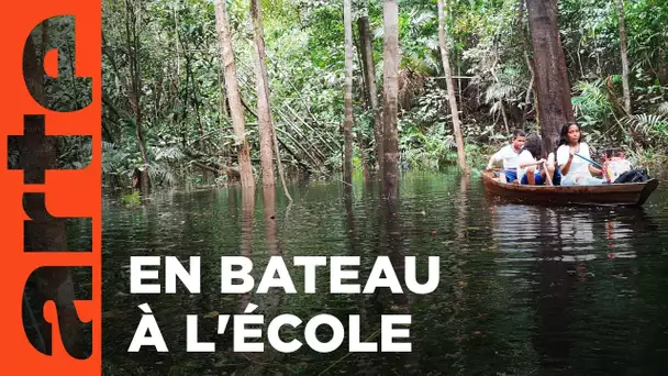 Le Brésil | Chemins d'école, chemins de tous les dangers | ARTE Family