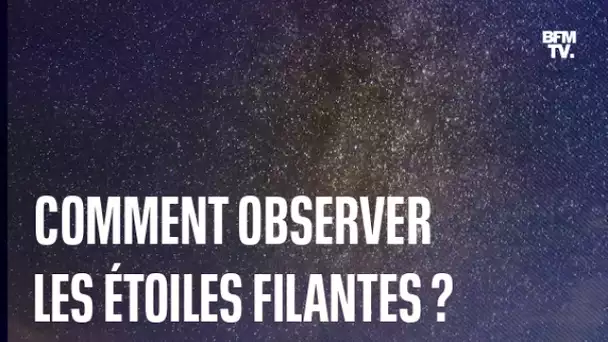 Comment observer la pluie d'étoiles filantes des Perséides, qui aura lieu la nuit du 12 août?