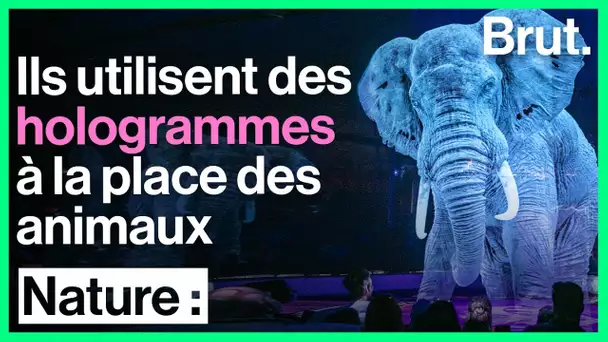 Ce cirque utilise des hologrammes à la place des animaux