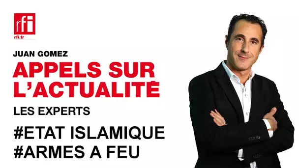 D'où viennent les armes utilisées par l'Etat islamique ?