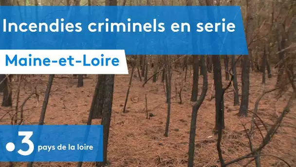 Saumur : incendies criminels en série