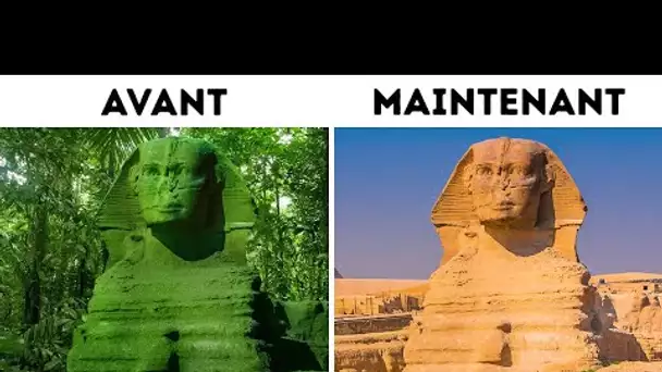 Le Sphinx Dans la Jungle et 10 Autres Anecdotes dignes de National Geographic