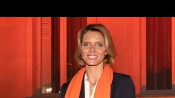 Sylvie Tellier accusée d’avoir « volé » Miss France : sa réponse ne va pas...