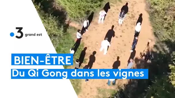 Du Qi Gong dans les vignes de Kientzheim