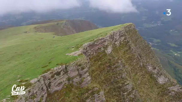 Cap Sud Ouest: Arrière Pays Basque, terre de passions (replay)