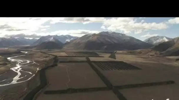 Nouvelle-Zélande, Ile du Sud : montagne, cours d'eau et plantation de sapins