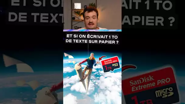 Et si on écrivait un téraoctet de texte sur des pages en papier ?