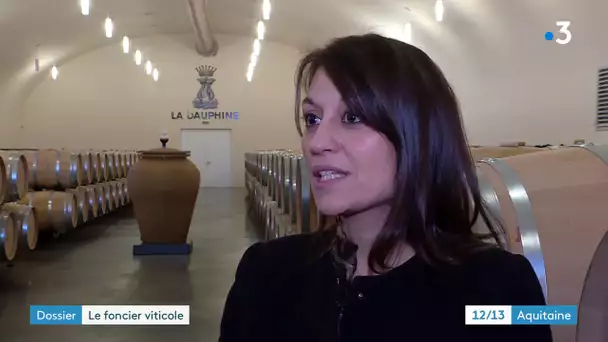 Dossier foncier viticole a Bordeaux