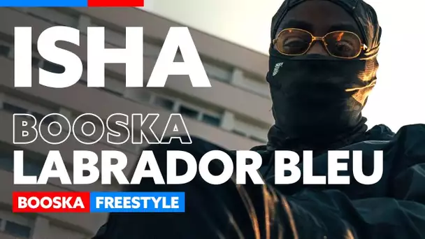 Isha | Freestyle Booska Labrador Bleu