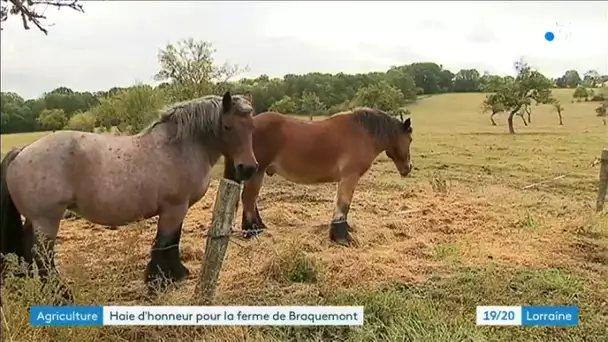 La ferme de Braquemont obtient le label ferme d'avenir